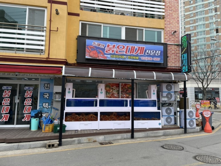 동해안붉은대게 이미지