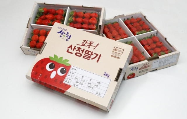 제일농수산유통 이미지