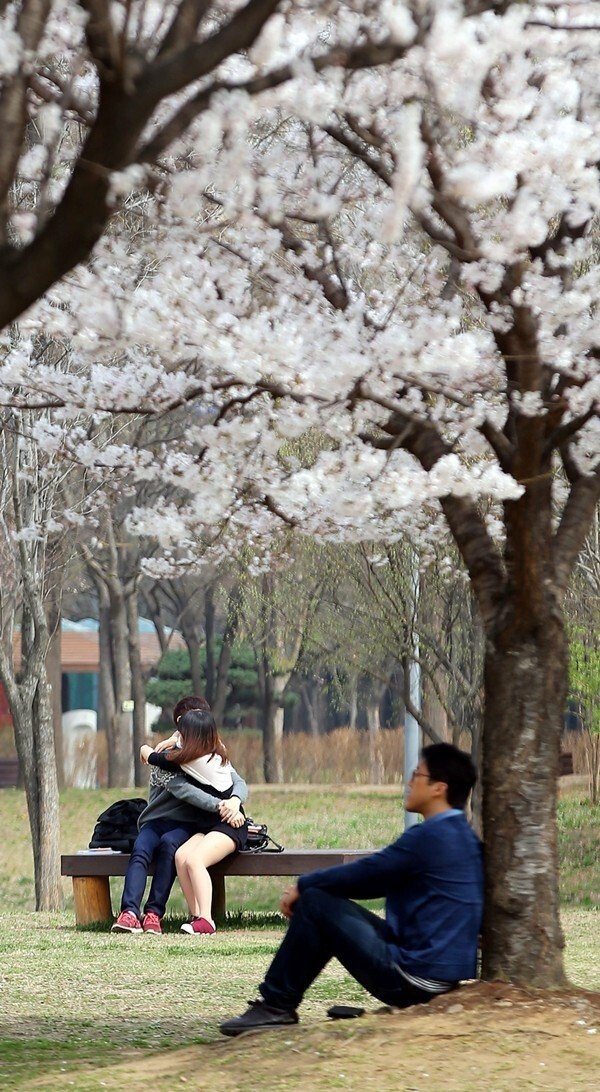 서울뮤즈음악학원 이미지