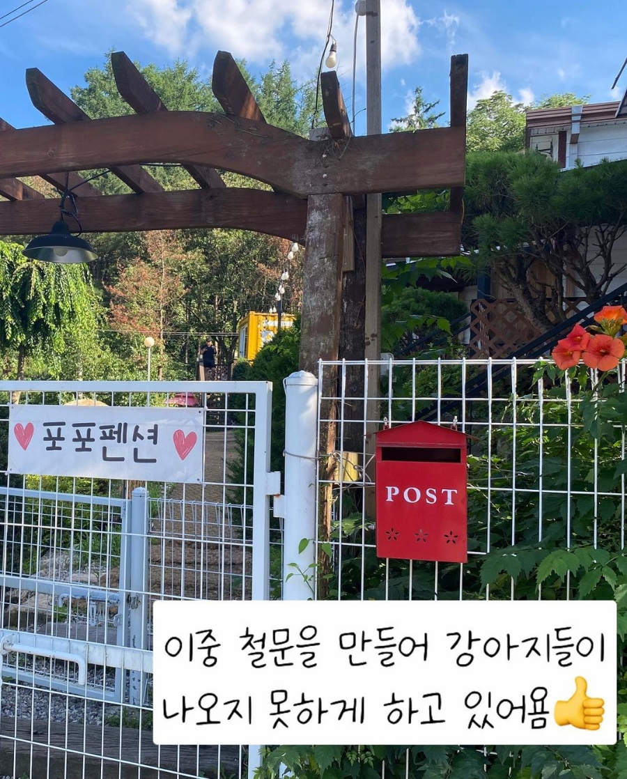 포포카롱 이미지