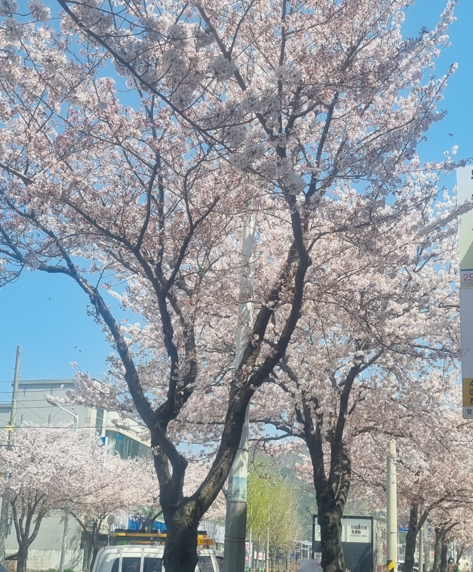 윤이엔지 이미지