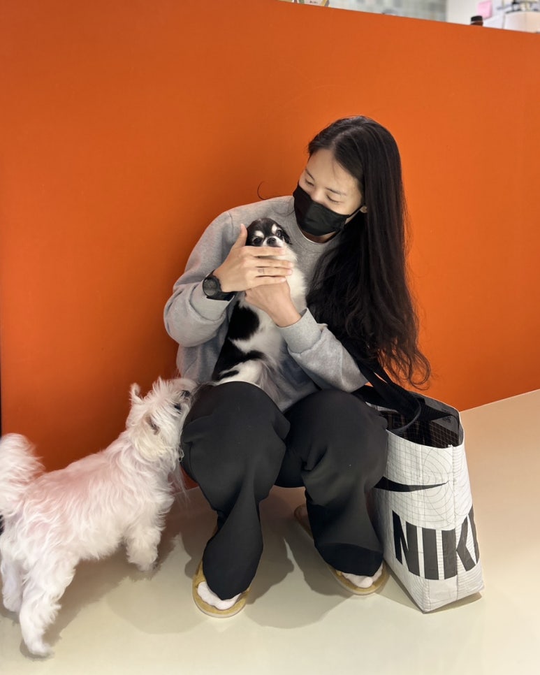 히포파통 이미지