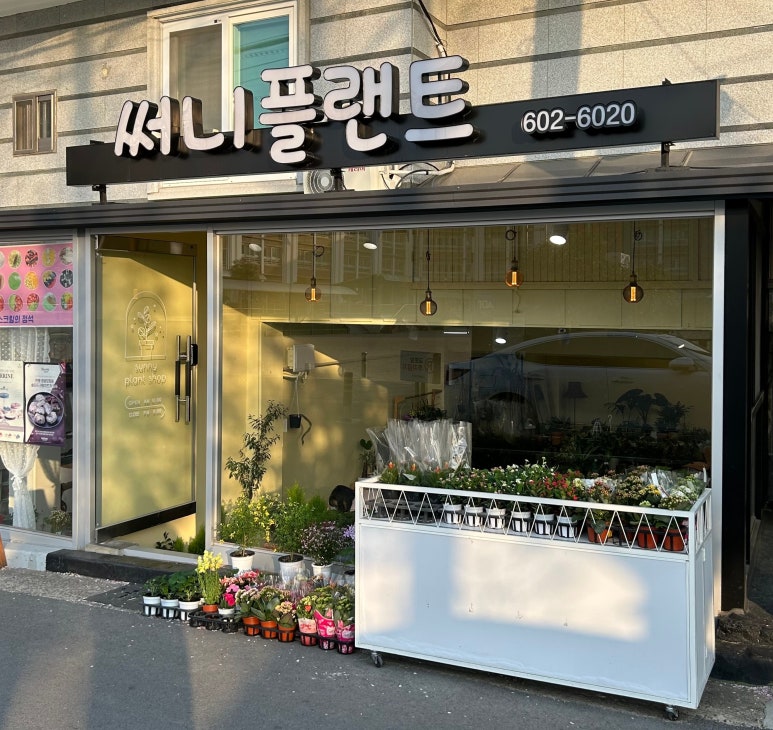 써니플랜트 이미지