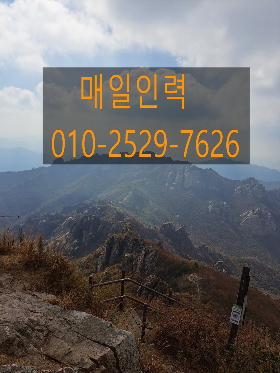 매일인력용역 이미지