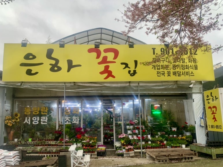 은하꽃집 이미지
