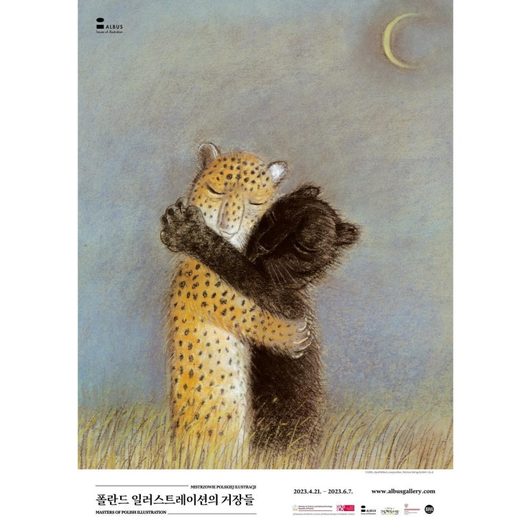 알부스 이미지