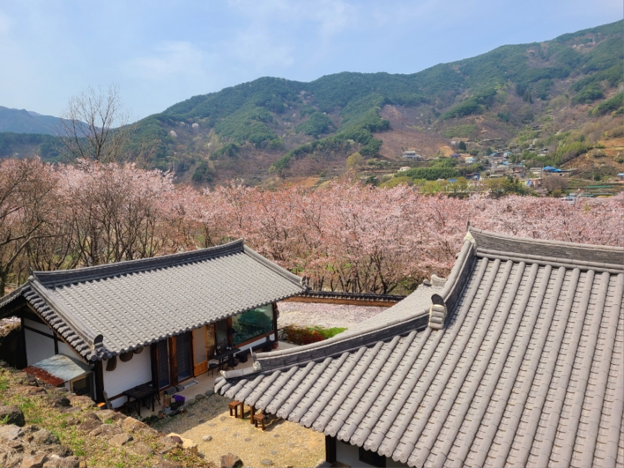 아원산방 이미지