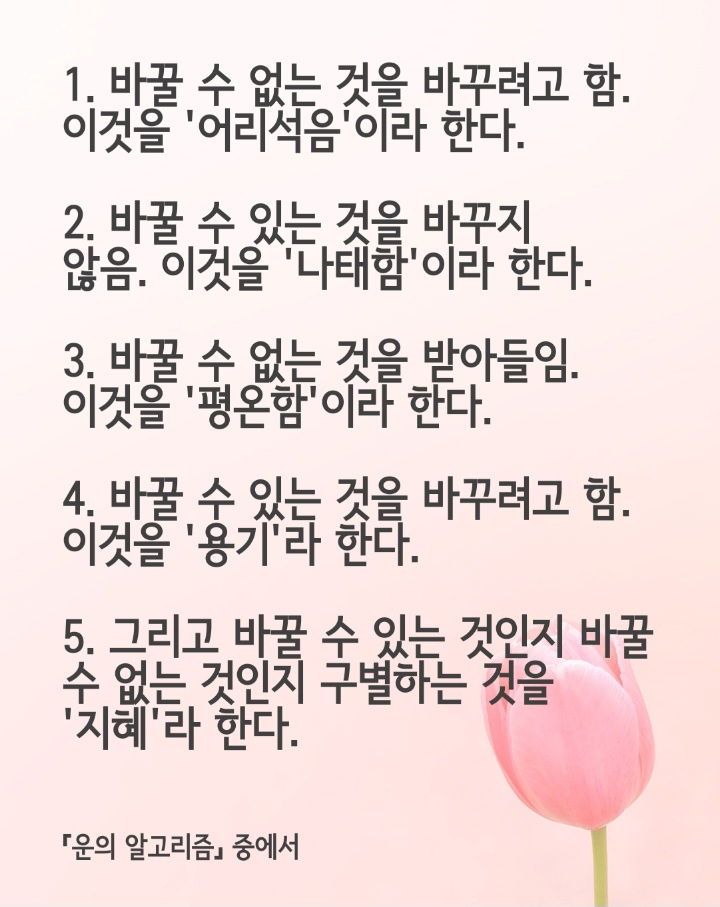 수갤러리 이미지