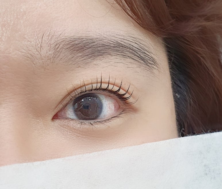 오블리속눈썹 이미지