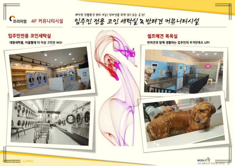 퍼니스타 이미지