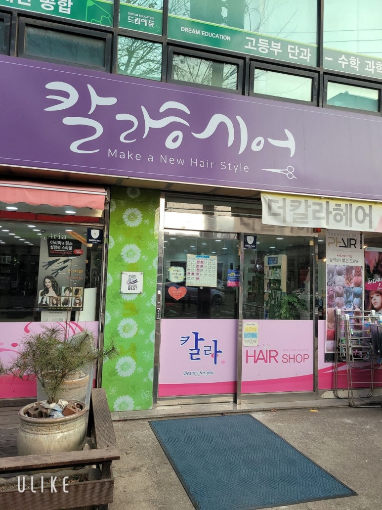 칼라헤어 이미지