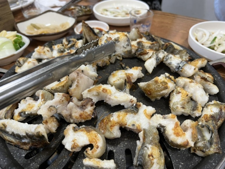 노형바다장어 이미지