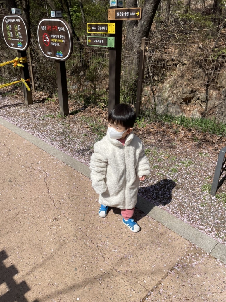 맑은숲기획 이미지
