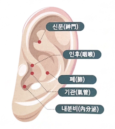 가야한의원 이미지