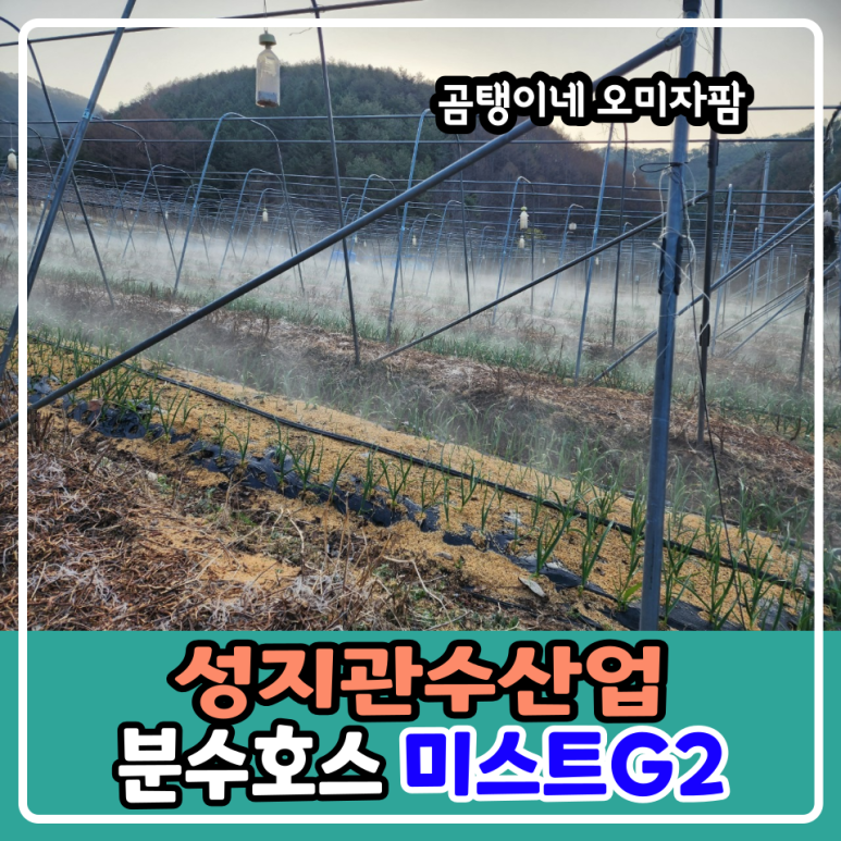성지산업(주) 이미지