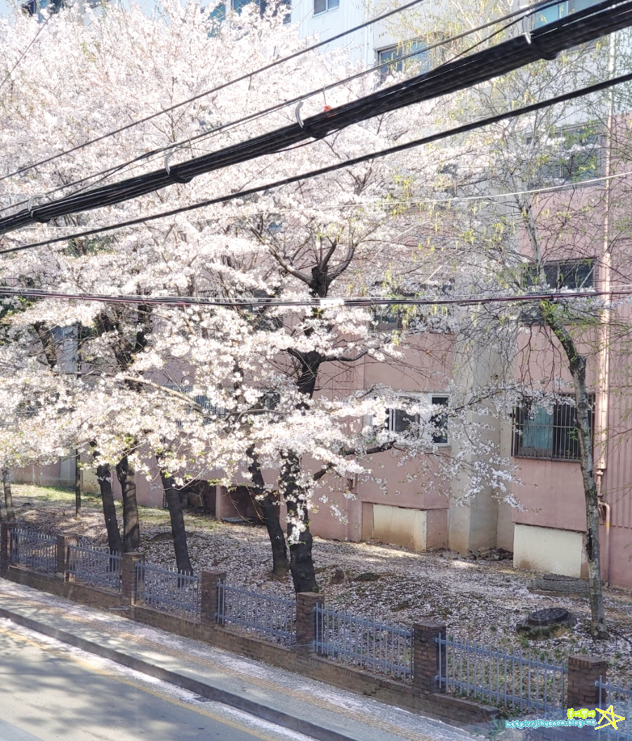 삼정우렁쌈밥 이미지