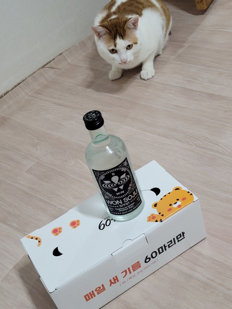 치킨만팔아요 이미지