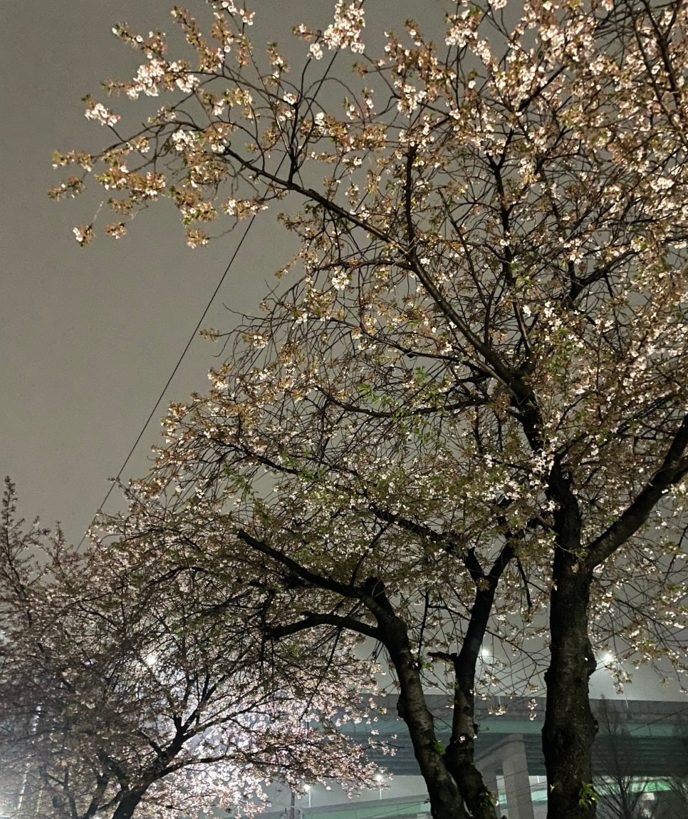 헤라클린스 이미지