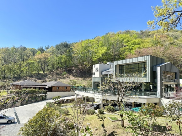 1995카페 이미지