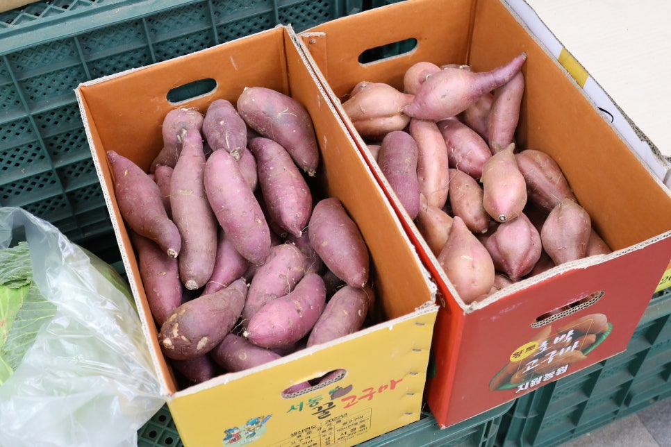 야채.청과 이미지