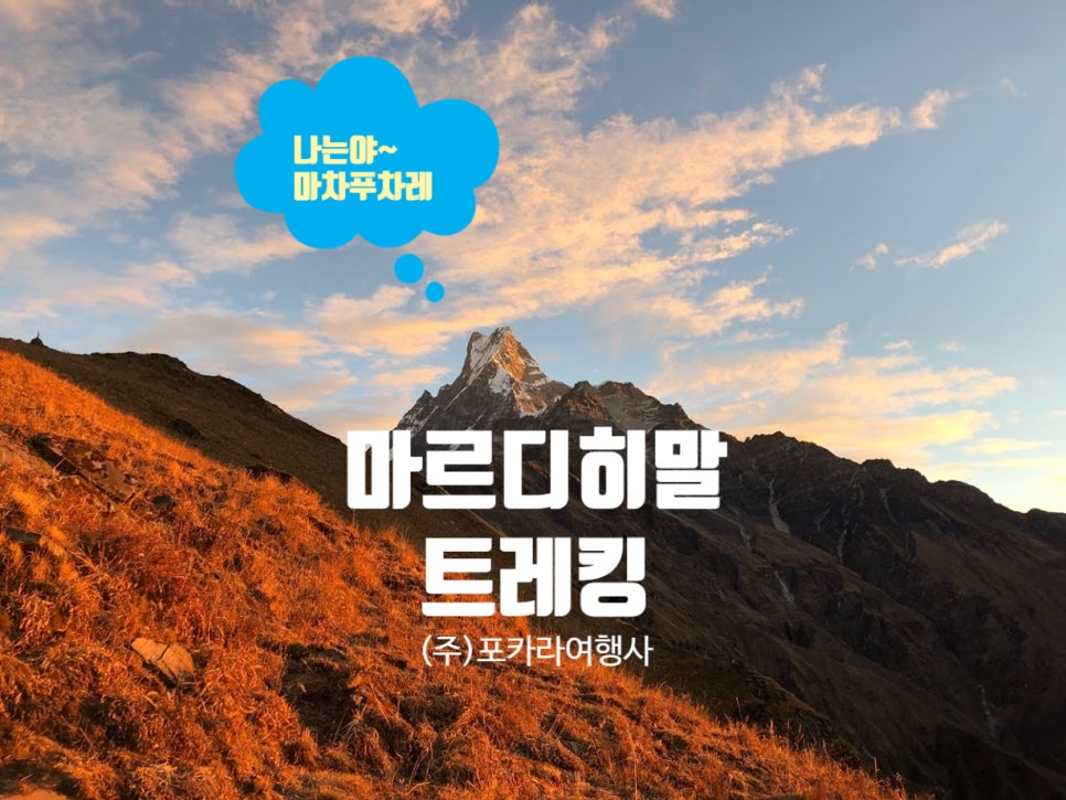 (주)꿈꾸는여행사 이미지