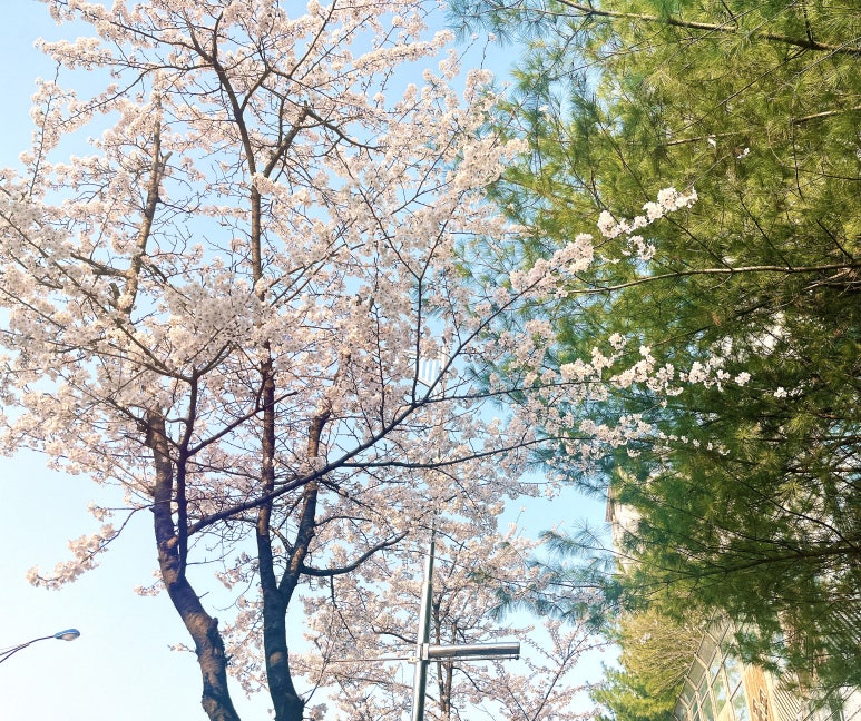 술병자리 이미지