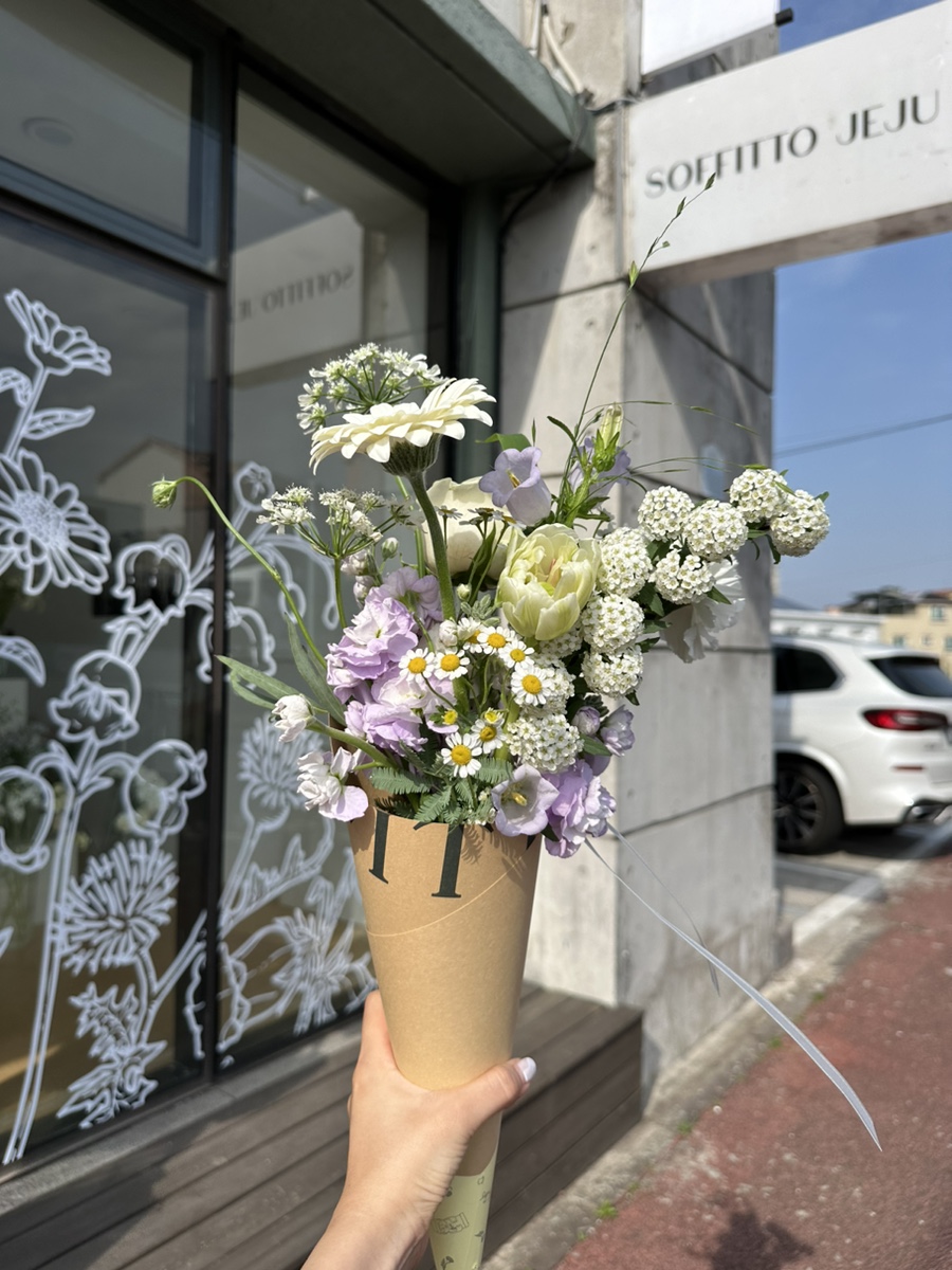소피토제주 이미지
