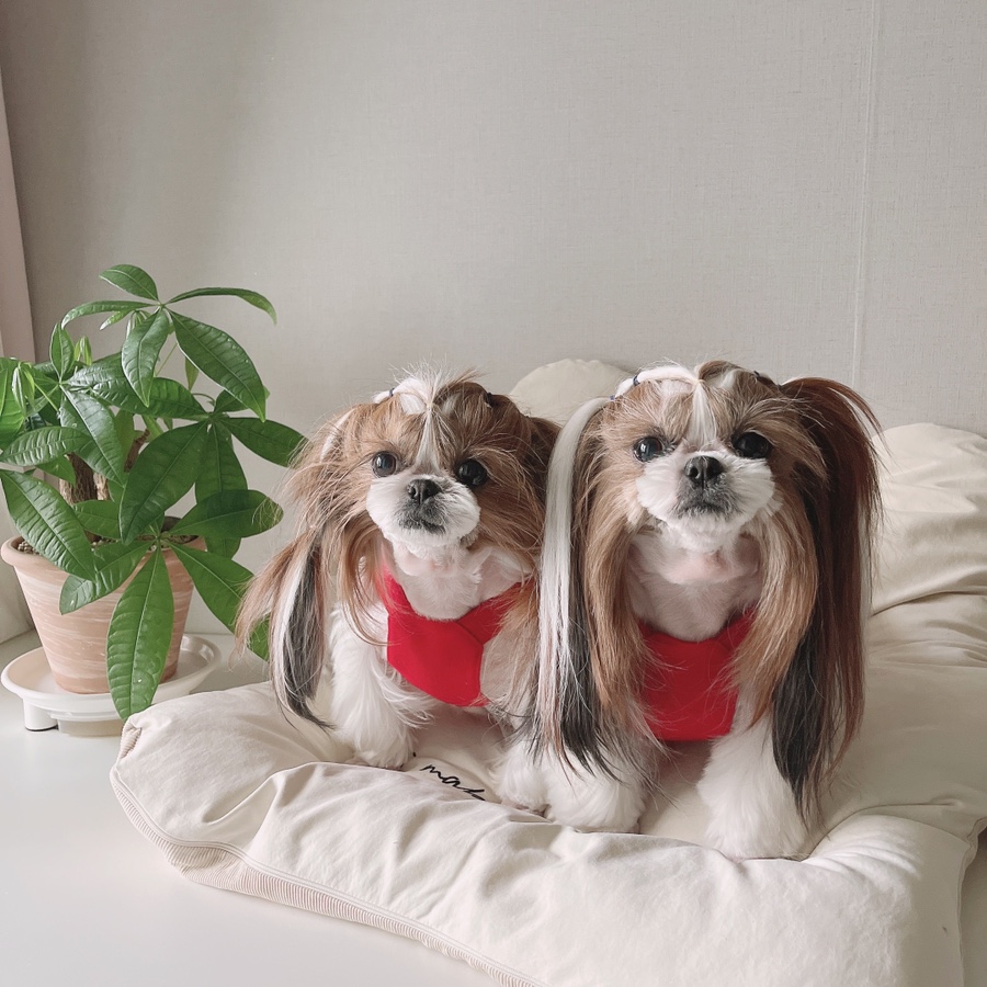 (주)아콩 이미지