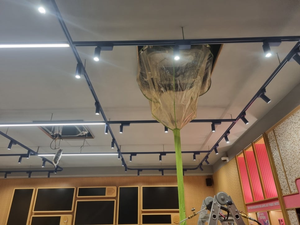 배스킨라빈스천안백석점 이미지