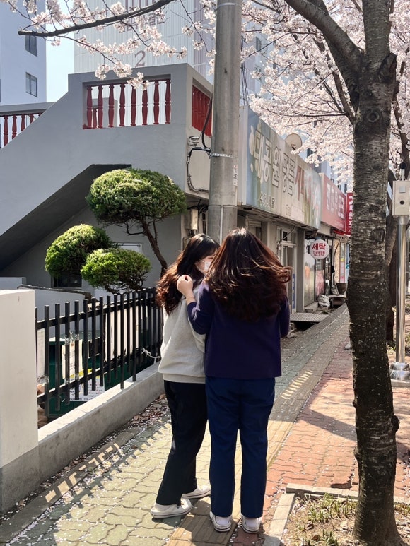 진한우포크 이미지