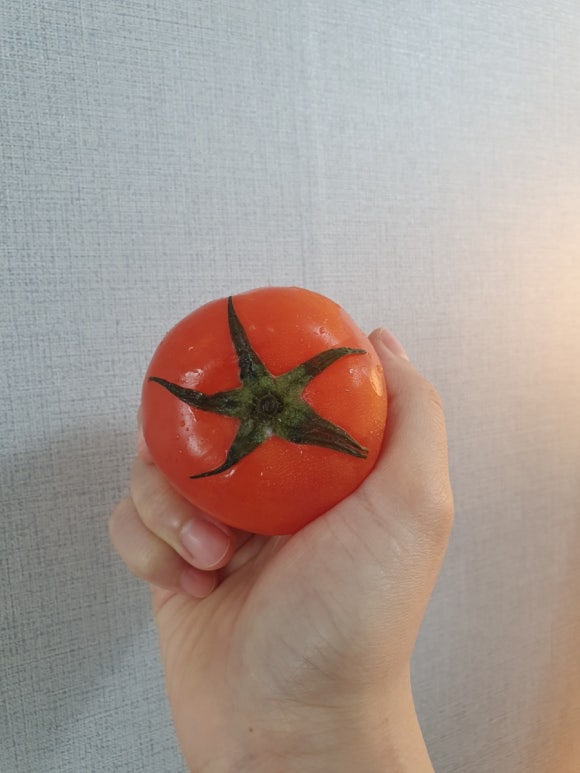 올스타축산 이미지