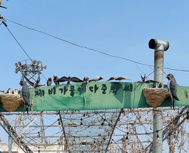대명다방 이미지