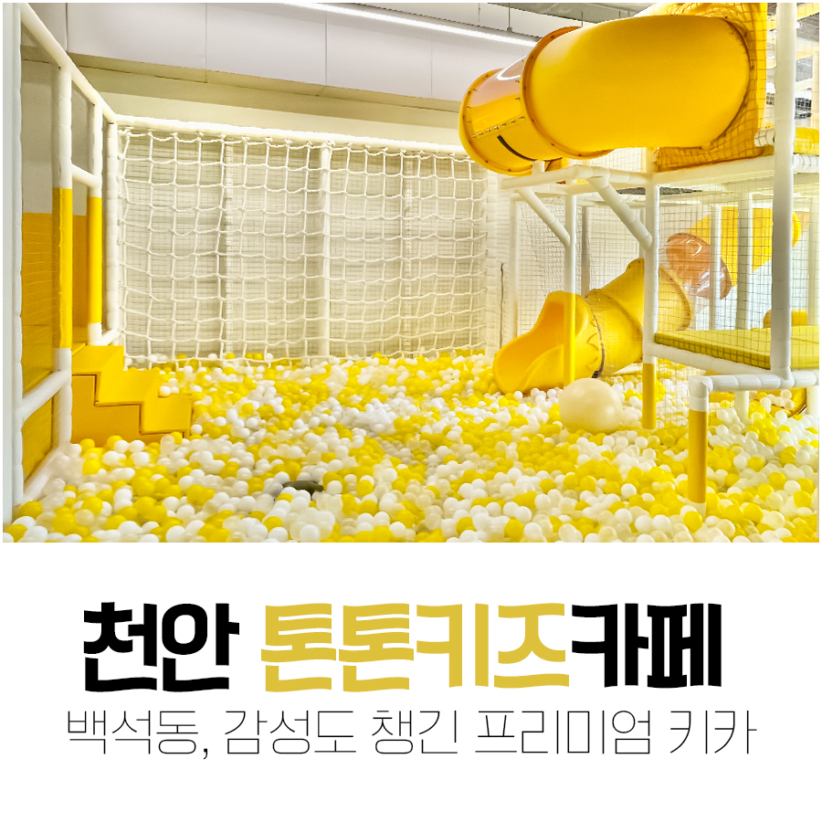 톤톤프리미엄키즈카페 이미지