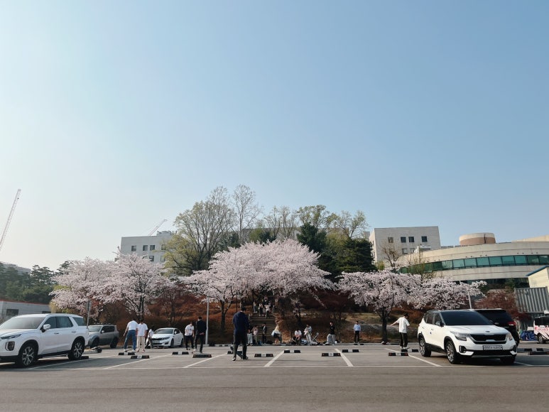 볼볼티 이미지