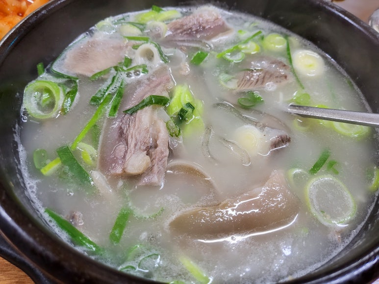 마당소머리 이미지