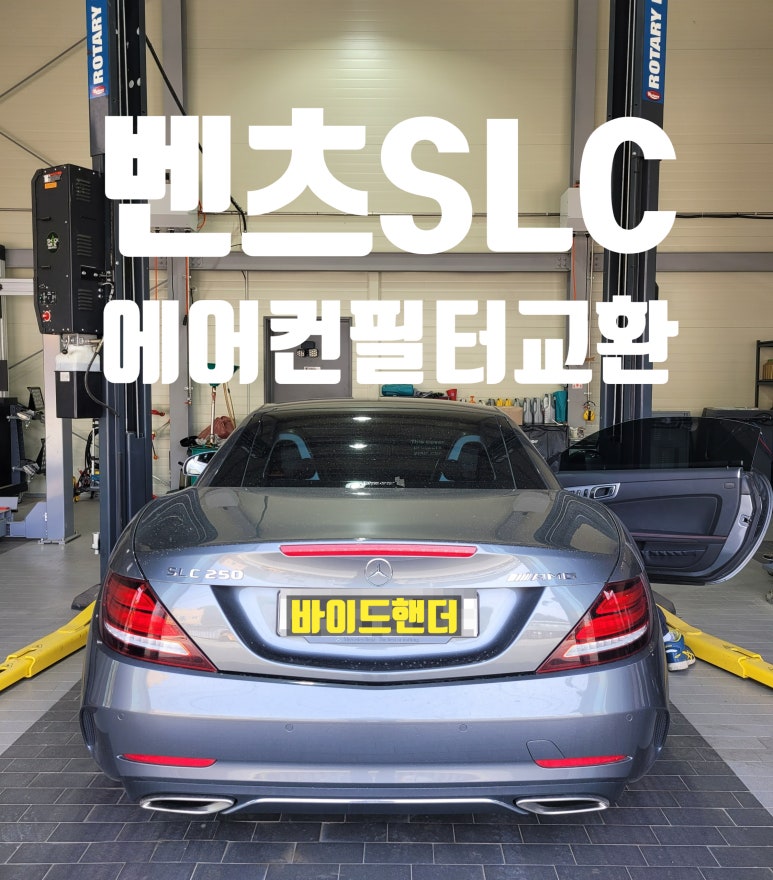 바이드핸더 이미지