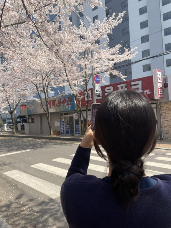 진한우포크 이미지