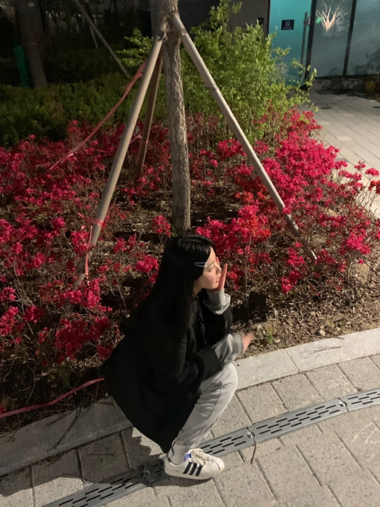 다영생고기식당 이미지