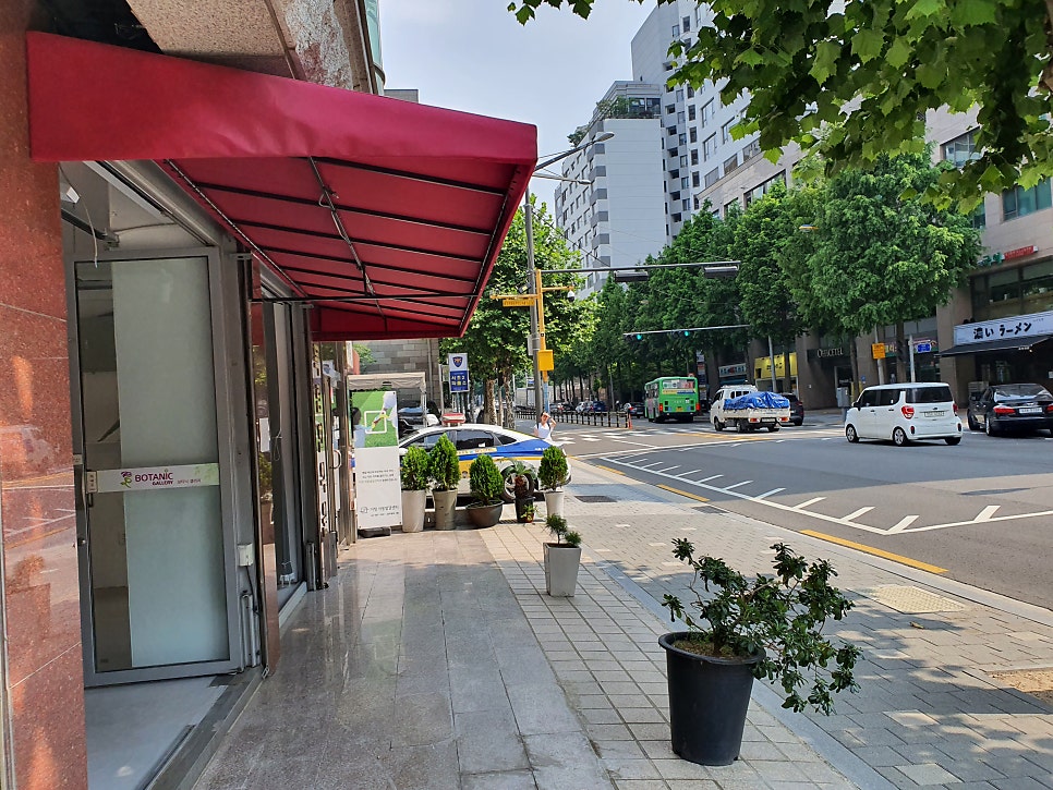달꽃다방 이미지