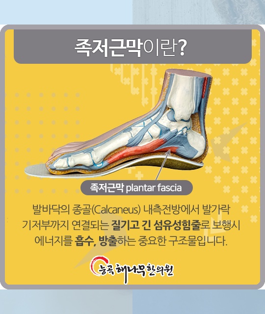 능곡제일한의원 이미지