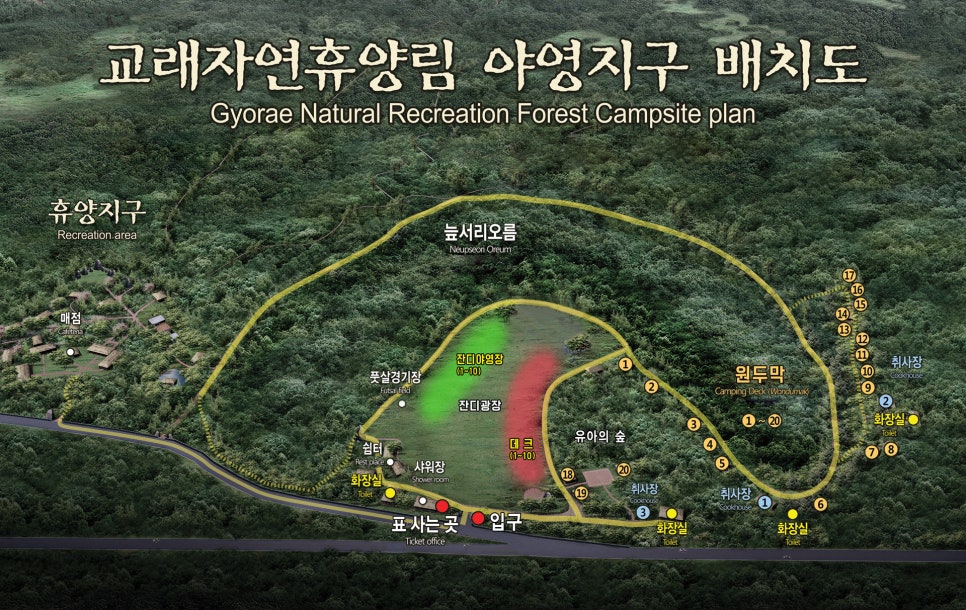 제주자연잔디 이미지
