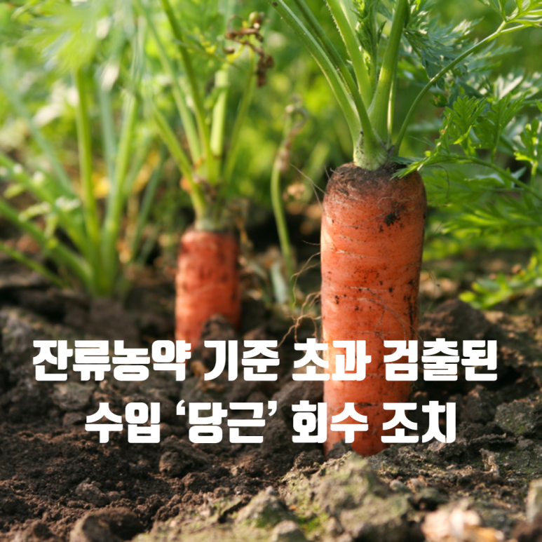 일광식품(주) 이미지