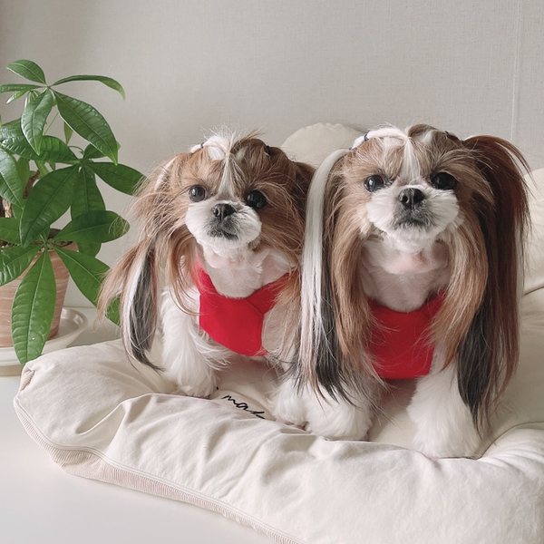 (주)아콩 이미지