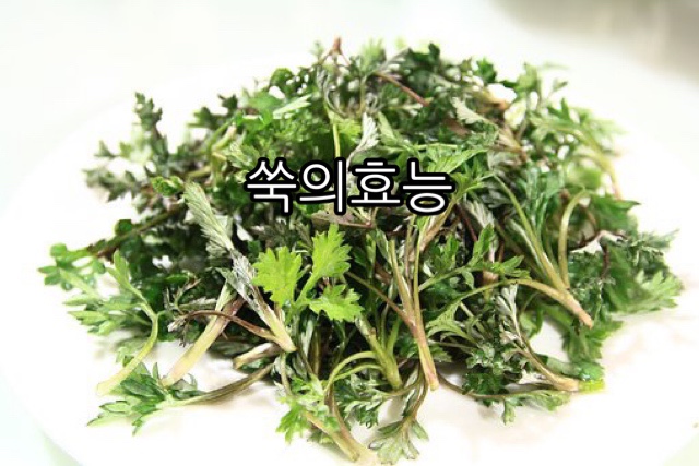원짐 이미지