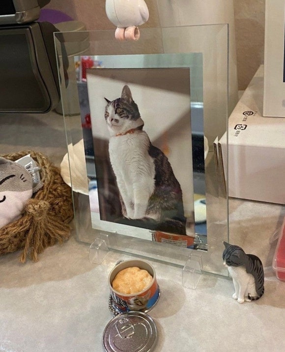 예지푸드 이미지