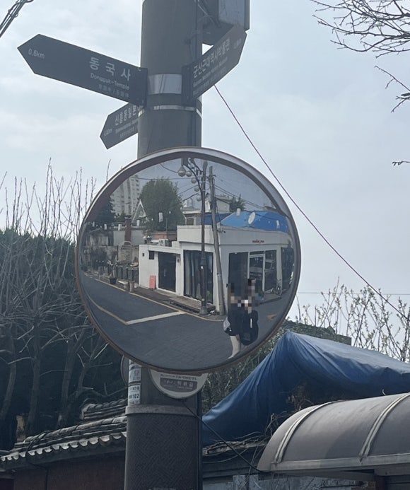 월명동앤 이미지