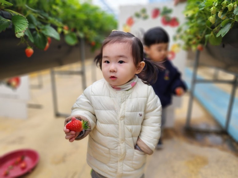 꽃뫼농원 이미지