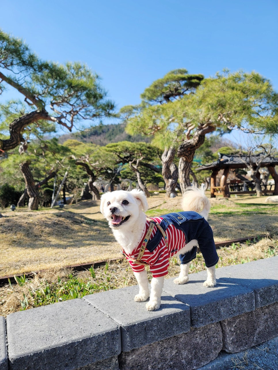 리안베이커리 이미지