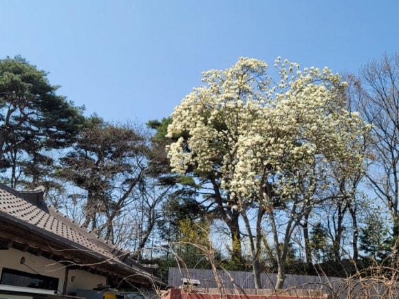 근대유물카페 이미지