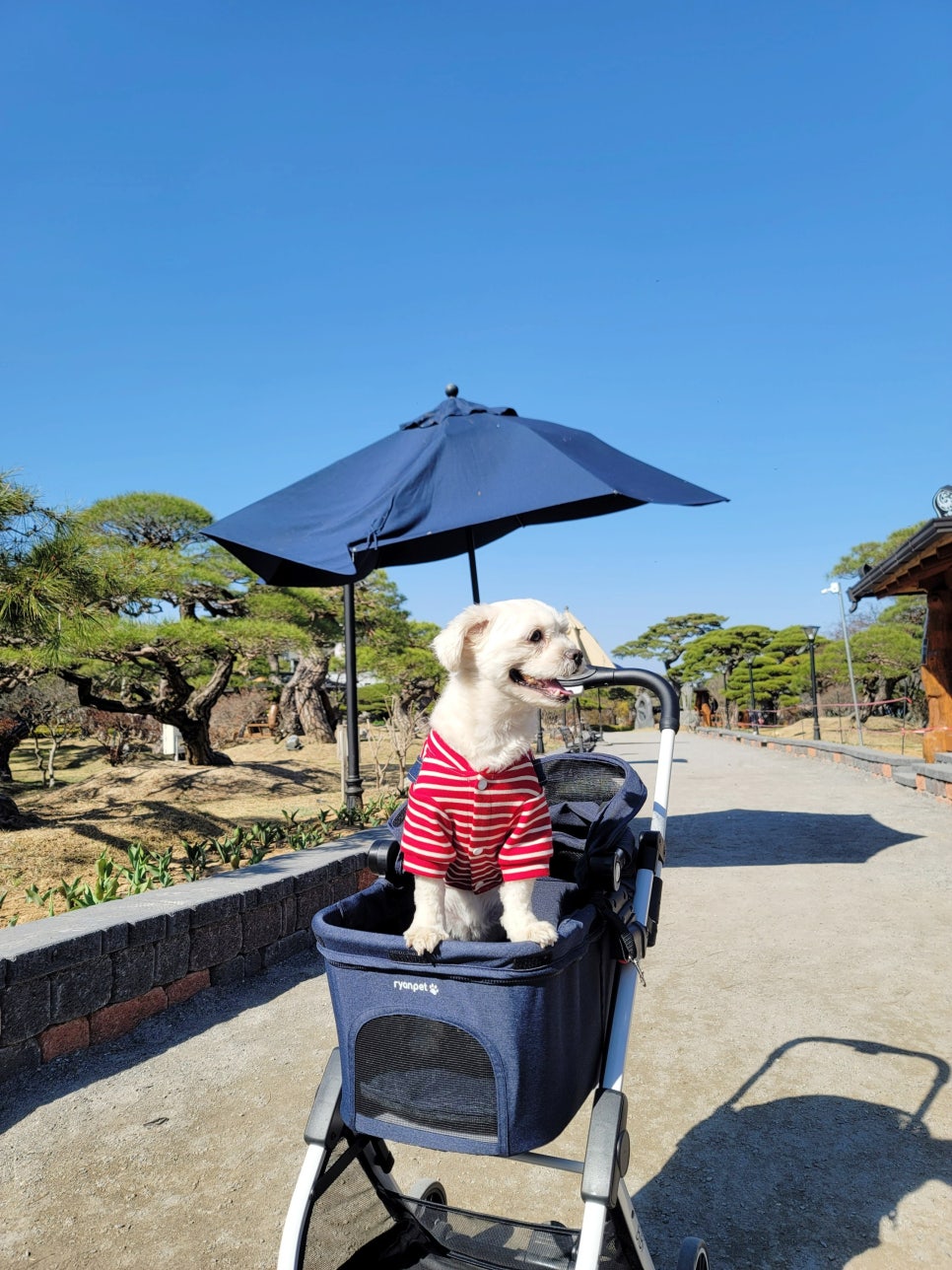 리안베이커리 이미지